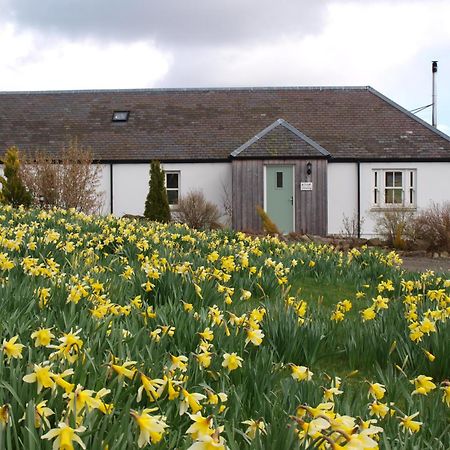 Dalnoid Cottages & Treehouses Nr Glenshee Экстерьер фото