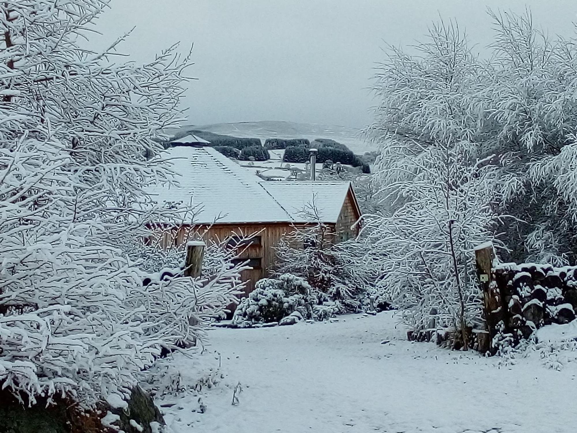 Dalnoid Cottages & Treehouses Nr Glenshee Экстерьер фото